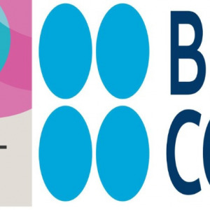 Mayur-public-school-british-council-best-school-award